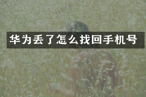 华为丢了怎么找回手机号
