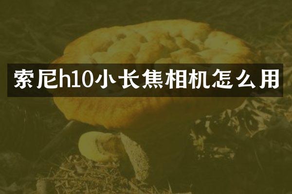 索尼h10小长焦相机怎么用