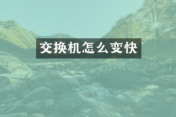 交换机怎么变快