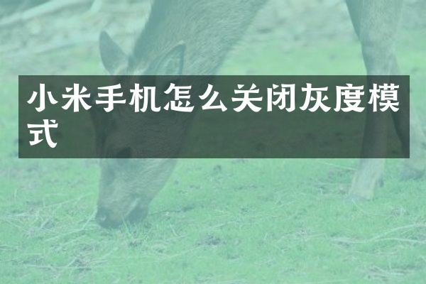 小米手机怎么关闭灰度模式