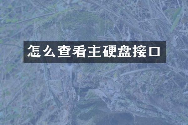 怎么查看主硬盘接口