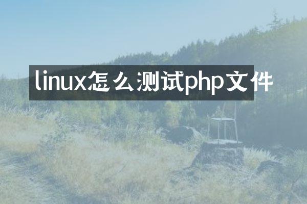 linux怎么测试php文件