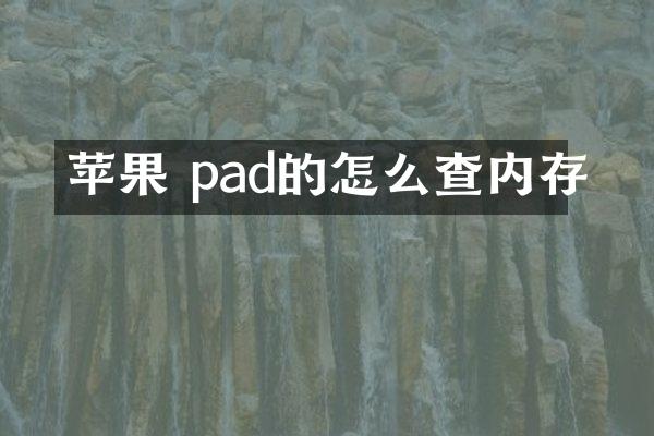 苹果 pad的怎么查内存