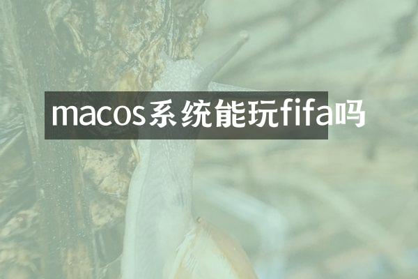 macos系统能玩fifa吗