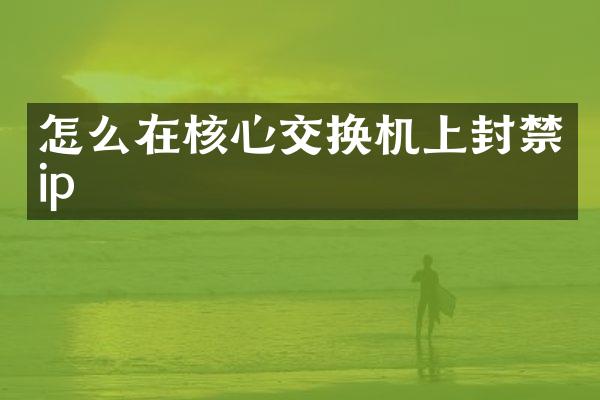 怎么在核心交换机上封禁ip