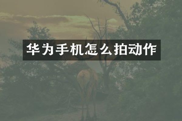 华为手机怎么拍动作