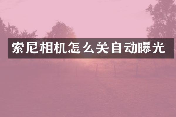 索尼相机怎么关自动曝光