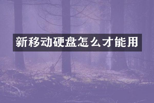 新移动硬盘怎么才能用
