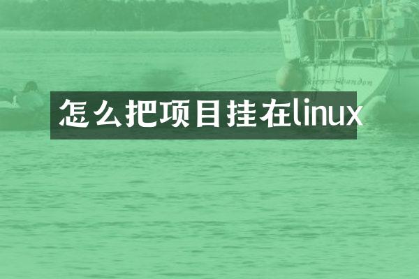 怎么把项目挂在linux