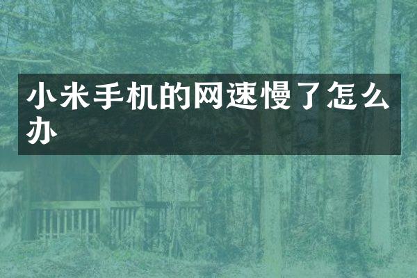 小米手机的网速慢了怎么办
