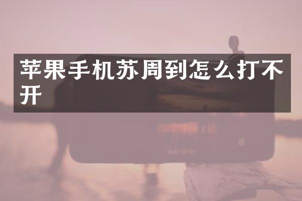 苹果手机苏周到怎么打不开