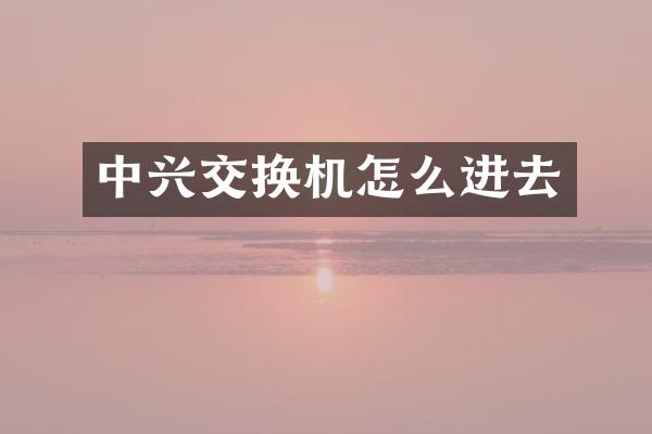 中兴交换机怎么进去