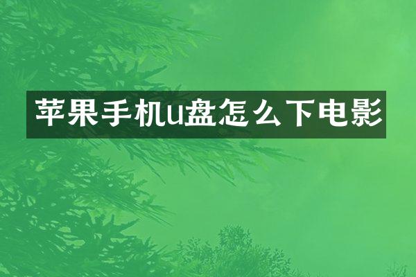 苹果手机u盘怎么下电影