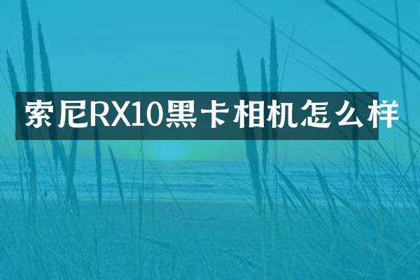 索尼RX10黑卡相机怎么样