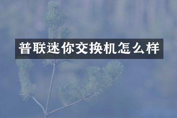 普联迷你交换机怎么样
