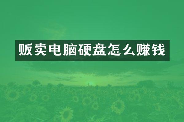 贩卖电脑硬盘怎么赚钱