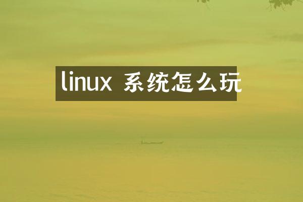 linux 系统怎么玩