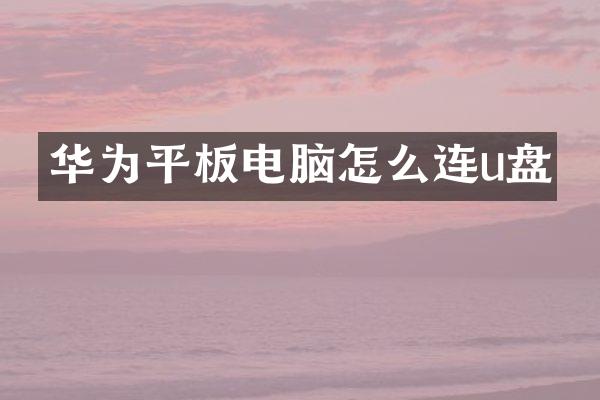 华为平板电脑怎么连u盘