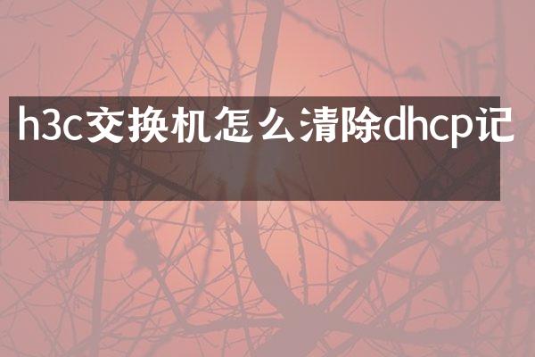 h3c交换机怎么清除dhcp记录