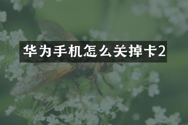 华为手机怎么关掉卡2