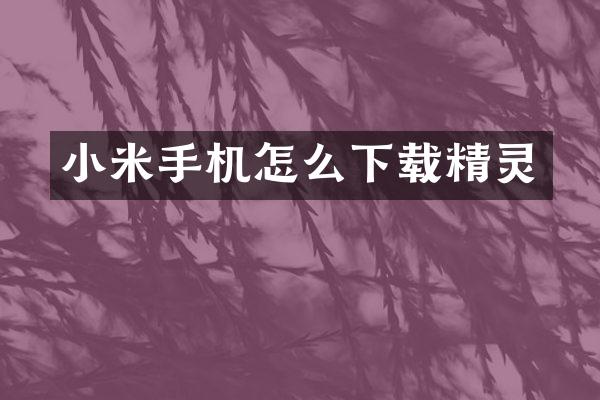 小米手机怎么下载精灵