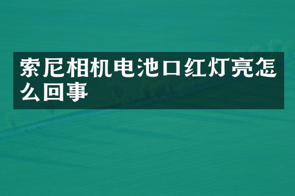 索尼相机电池口红灯亮怎么回事