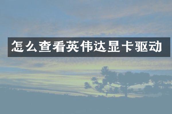 怎么查看英伟达显卡驱动