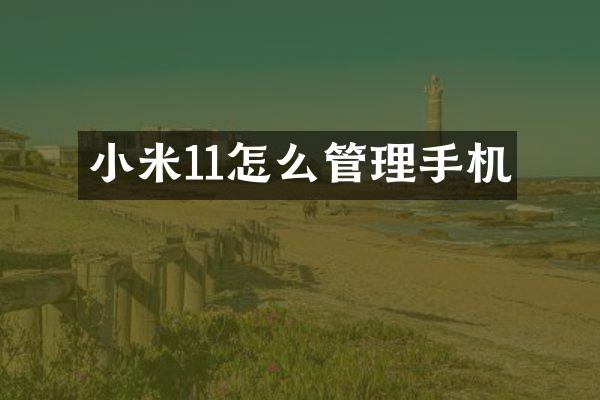 小米11怎么管理手机
