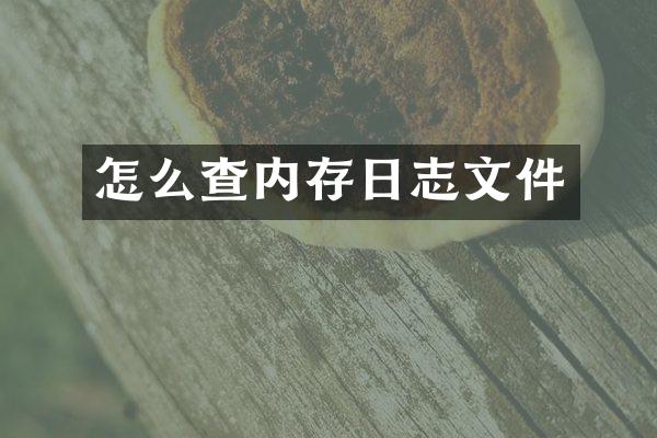 怎么查内存日志文件