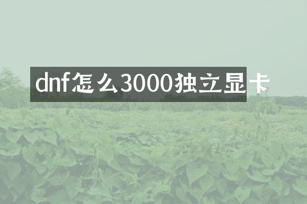 dnf怎么3000独立显卡