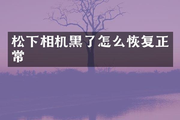 相机黑了怎么恢复正常