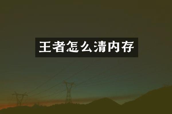 王者怎么清内存