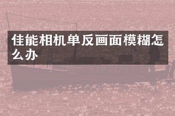 佳能相机单反画面模糊怎么办