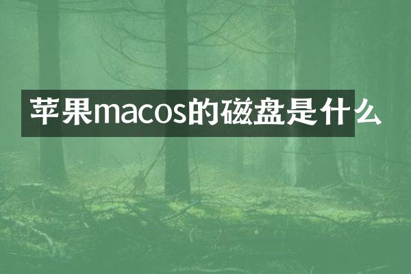 苹果macos的磁盘是什么