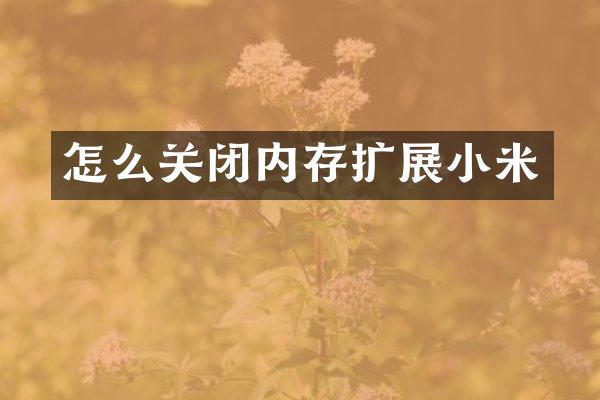 怎么关闭内存扩展小米