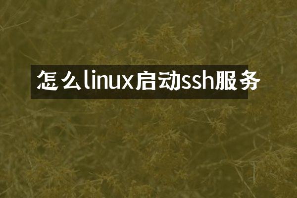 怎么linux启动ssh服务