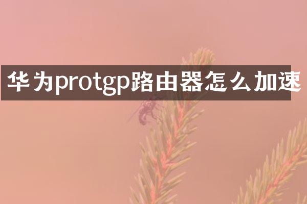 华为protgp路由器怎么加速