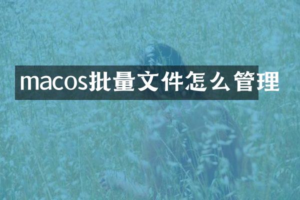 macos批量文件怎么管理