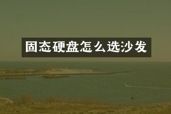 固态硬盘怎么选沙发