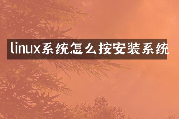 linux系统怎么按安装系统