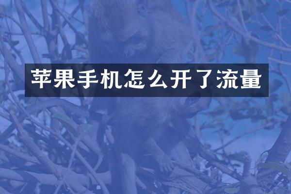 苹果手机怎么开了流量