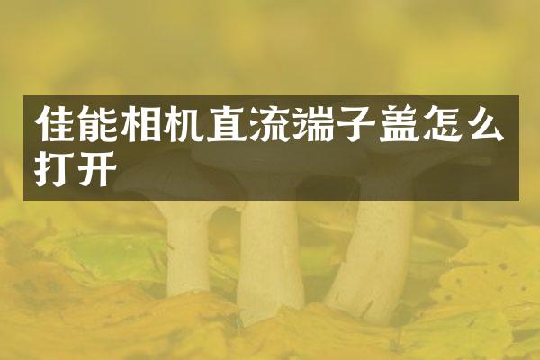 佳能相机直流端子盖怎么打开