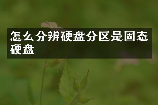 怎么分辨硬盘分区是固态硬盘