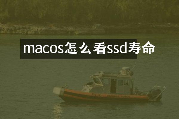 macos怎么看ssd寿命