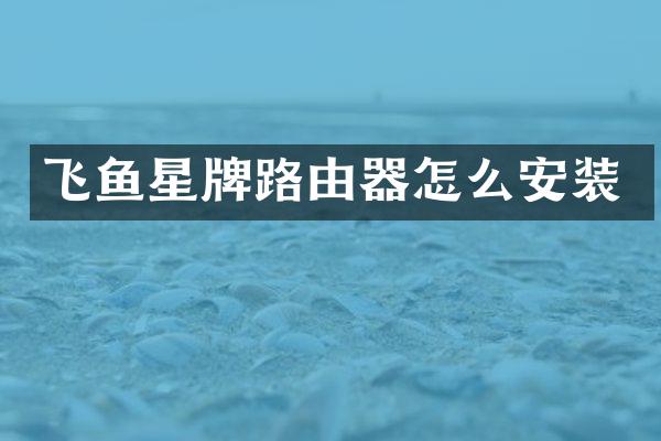 飞鱼星牌路由器怎么安装