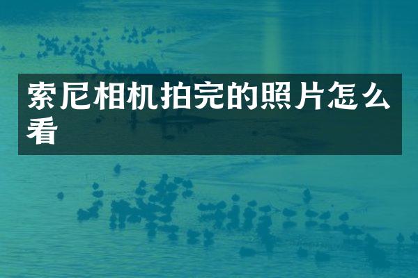 相机拍完的照片怎么看