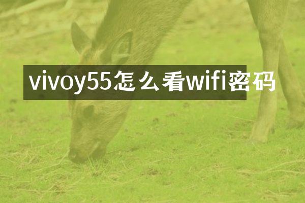 vivoy55怎么看wifi密码