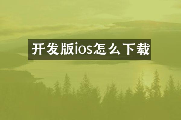 开发版ios怎么下载