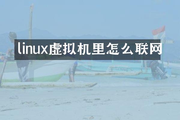 linux虚拟机里怎么联网