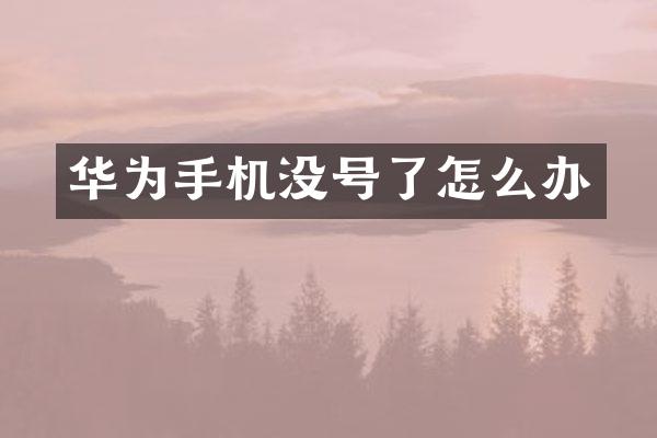 华为手机没号了怎么办